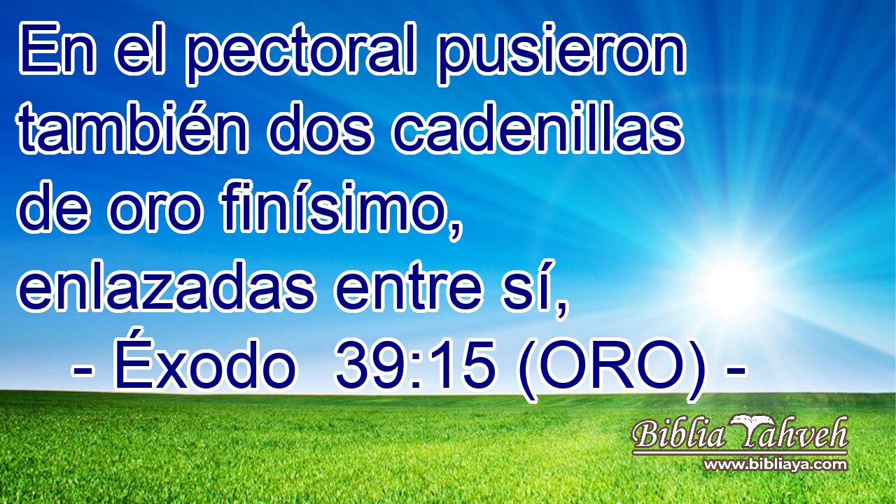  En el pectoral pusieron también dos cadenillas de oro finísimo, enlazadas entre sí, 
