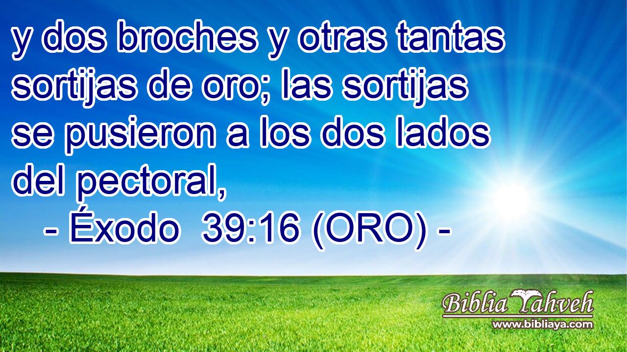  y dos broches y otras tantas sortijas de oro; las sortijas se pusieron a los dos lados del pectoral, 