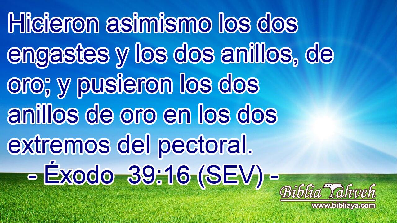 Hicieron asimismo los dos engastes y los dos anillos, de oro; y pusieron los dos anillos de oro en los dos extremos del pectoral.