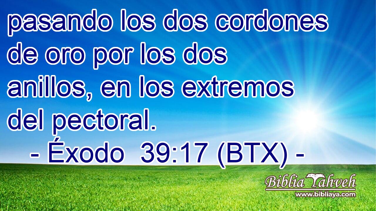 pasando los dos cordones de oro por los dos anillos, en los extremos del pectoral.