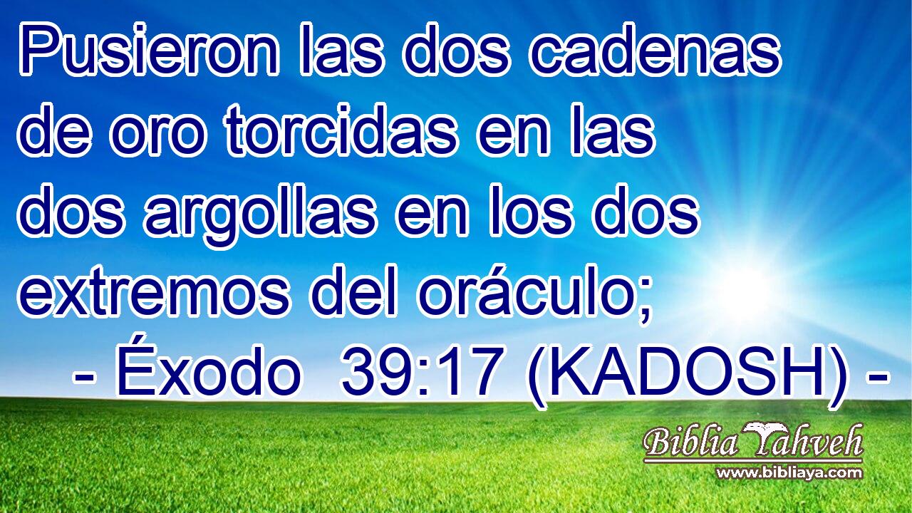  Pusieron las dos cadenas de oro torcidas en las dos argollas en los dos extremos del oráculo; 