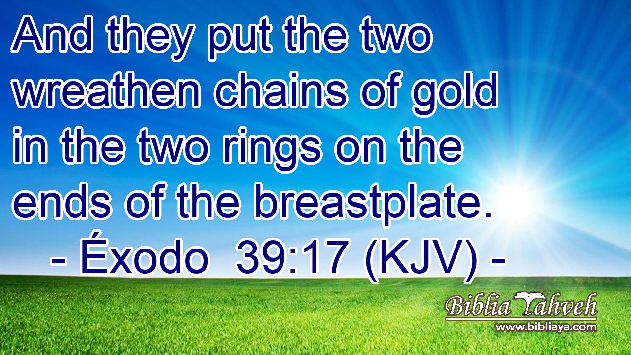 And they put the two wreathen chains of gold in the two rings on the ends of the breastplate.