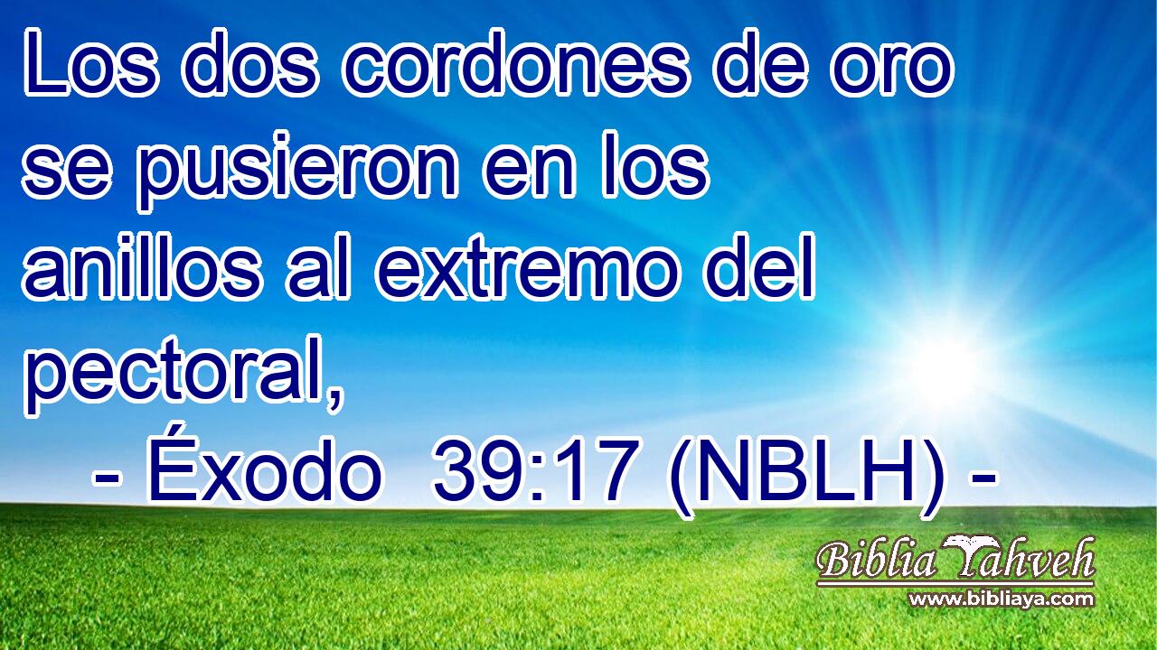  Los dos cordones de oro se pusieron en los anillos al extremo del pectoral, 