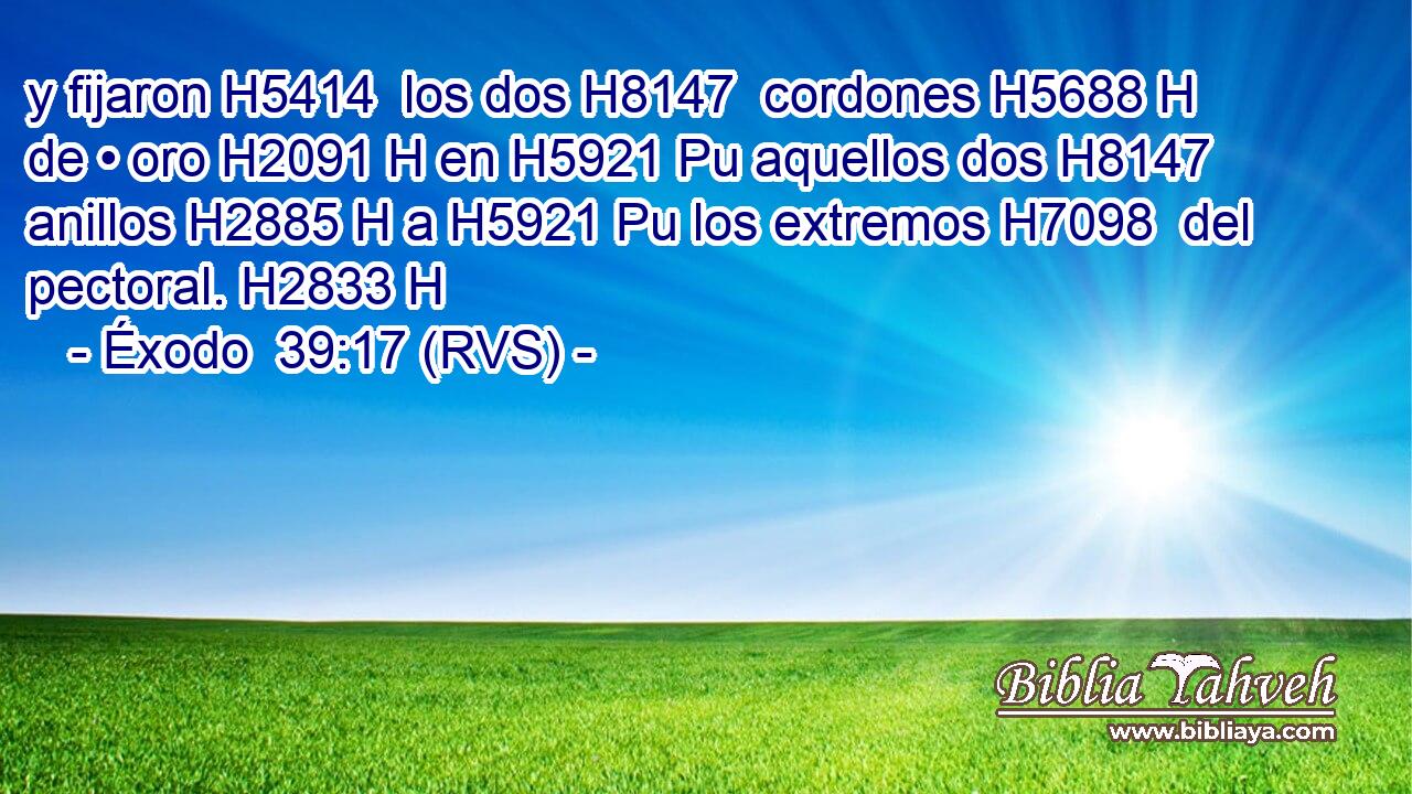 y fijaron H5414  los dos H8147  cordones H5688 H de • oro H2091 H en H5921 Pu aquellos dos H8147  anillos H2885 H a H5921 Pu los extremos H7098  del pectoral. H2833 H 