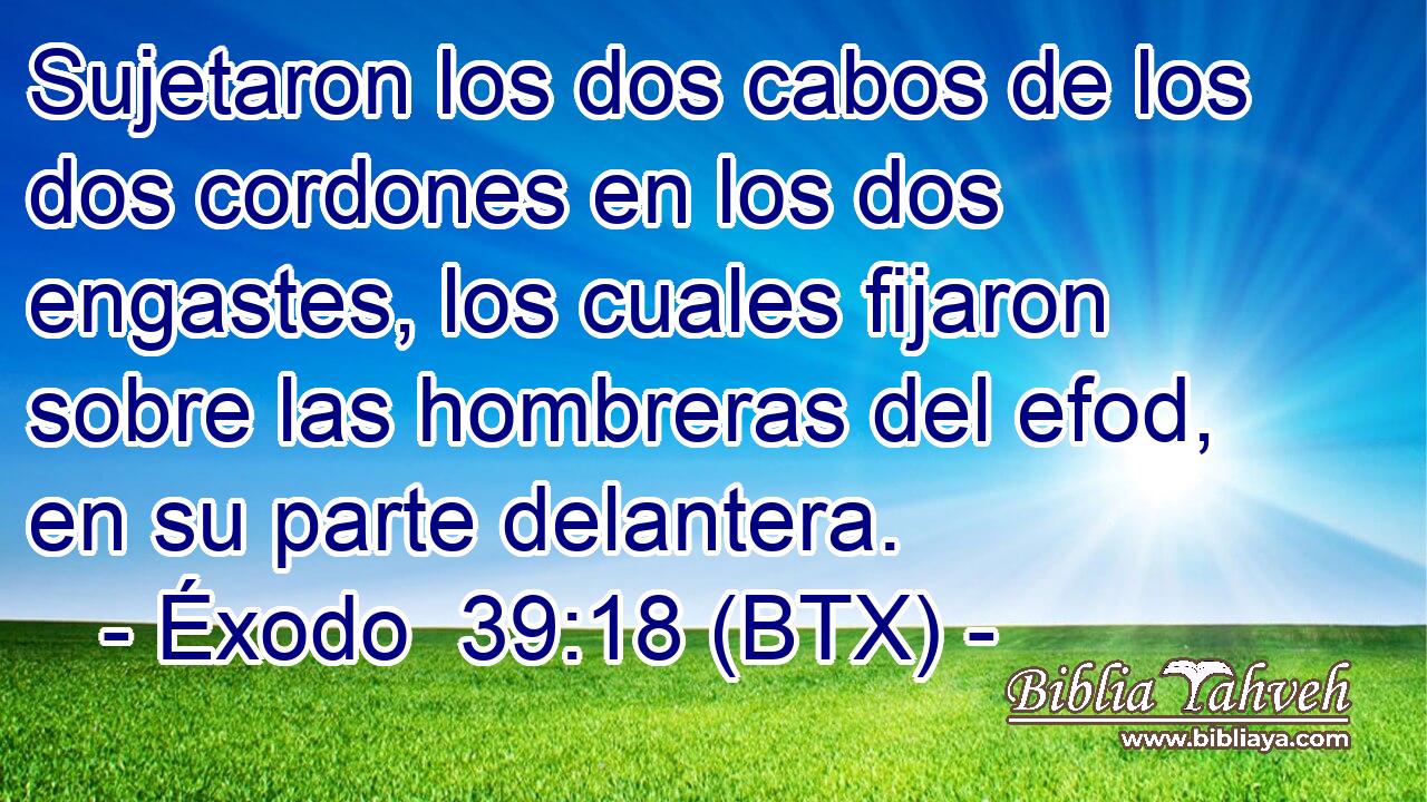 Sujetaron los dos cabos de los dos cordones en los dos engastes, los cuales fijaron sobre las hombreras del efod, en su parte delantera.