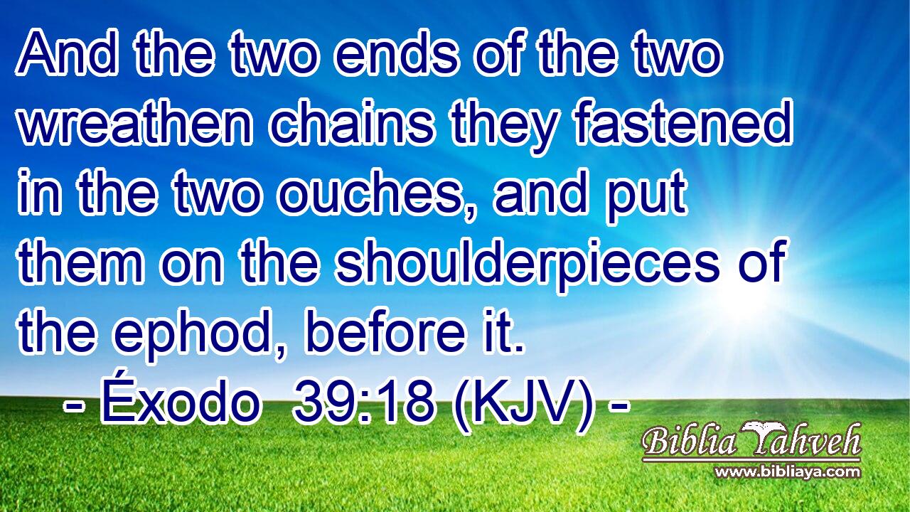 And the two ends of the two wreathen chains they fastened in the two ouches, and put them on the shoulderpieces of the ephod, before it.