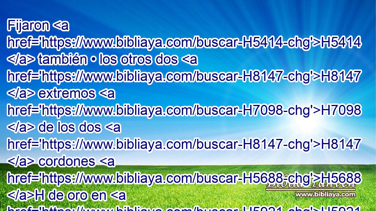 Fijaron H5414  también • los otros dos H8147  extremos H7098  de los dos H8147  cordones H5688 H de oro en H5921 Pu los dos H8147  engastes H4865 H que • pusieron H5414  • sobre H5921 Pu las hombreras H3802  del efod H646 H por H413 PU delante. H4136  H6440 • • 
