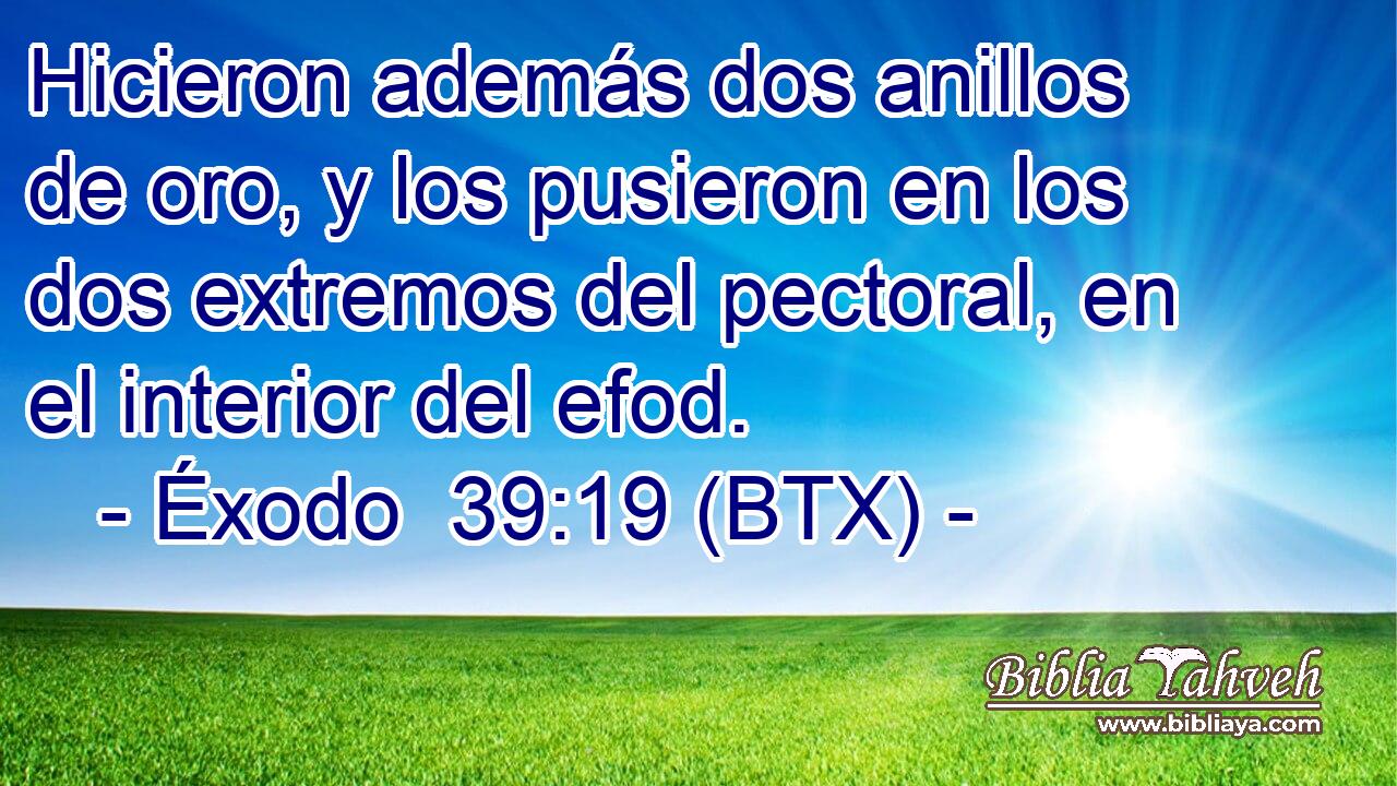 Hicieron además dos anillos de oro, y los pusieron en los dos extremos del pectoral, en el interior del efod.