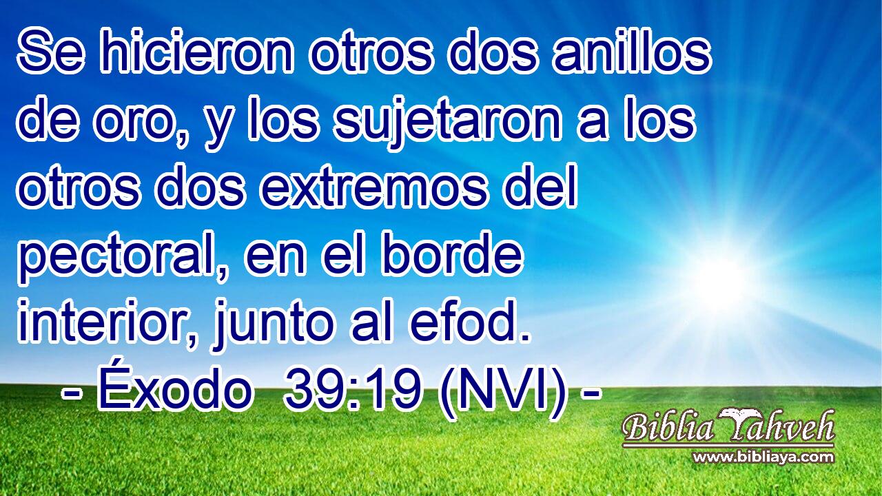  Se hicieron otros dos anillos de oro, y los sujetaron a los otros dos extremos del pectoral, en el borde interior, junto al efod. 