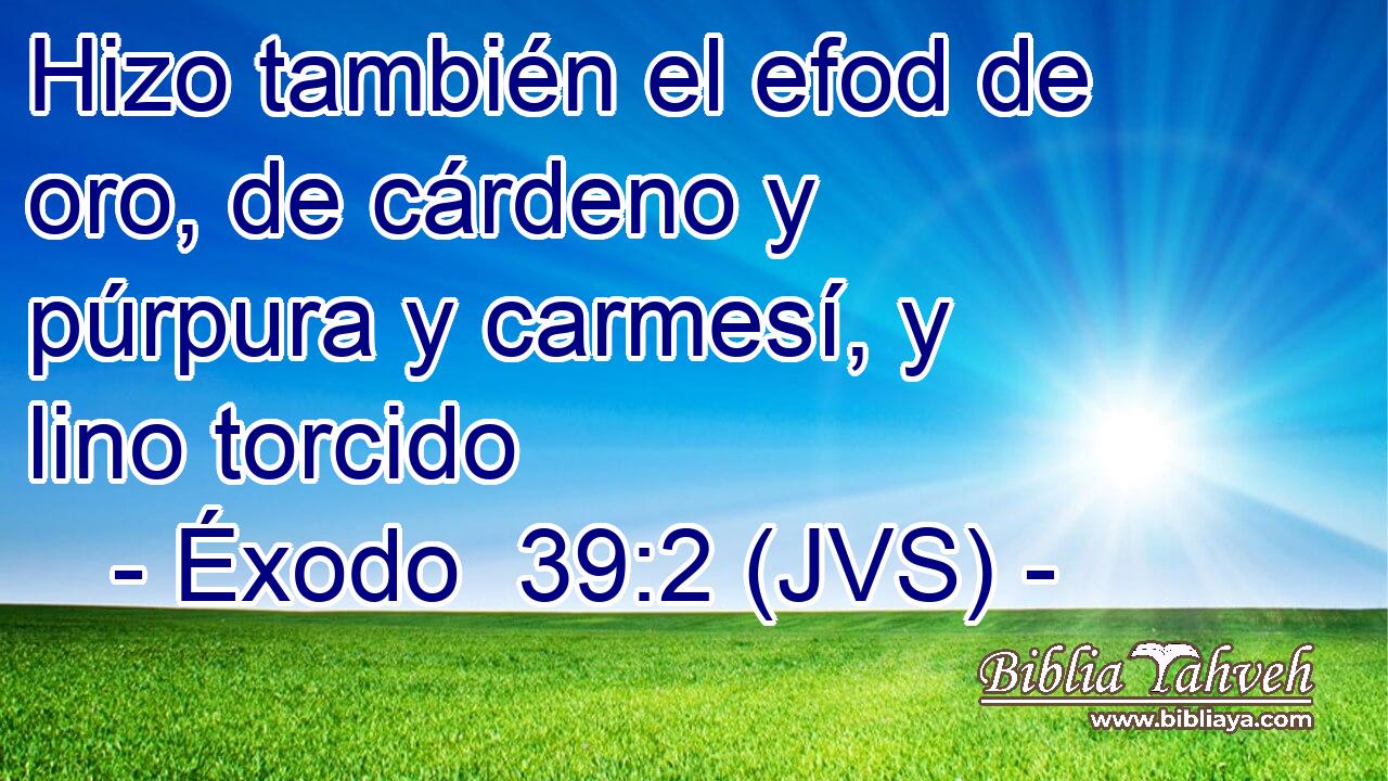 Hizo también el efod de oro, de cárdeno y púrpura y carmesí, y lino torcido