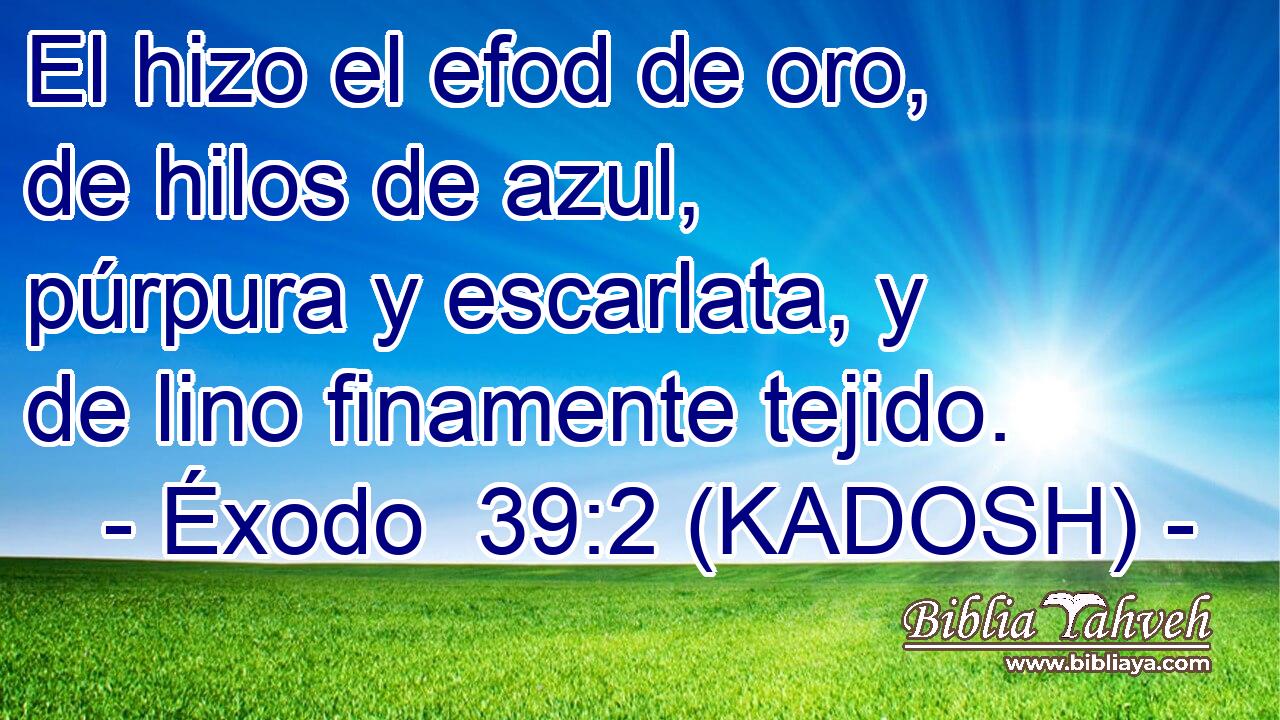  El hizo el efod de oro, de hilos de azul, púrpura y escarlata, y de lino finamente tejido. 