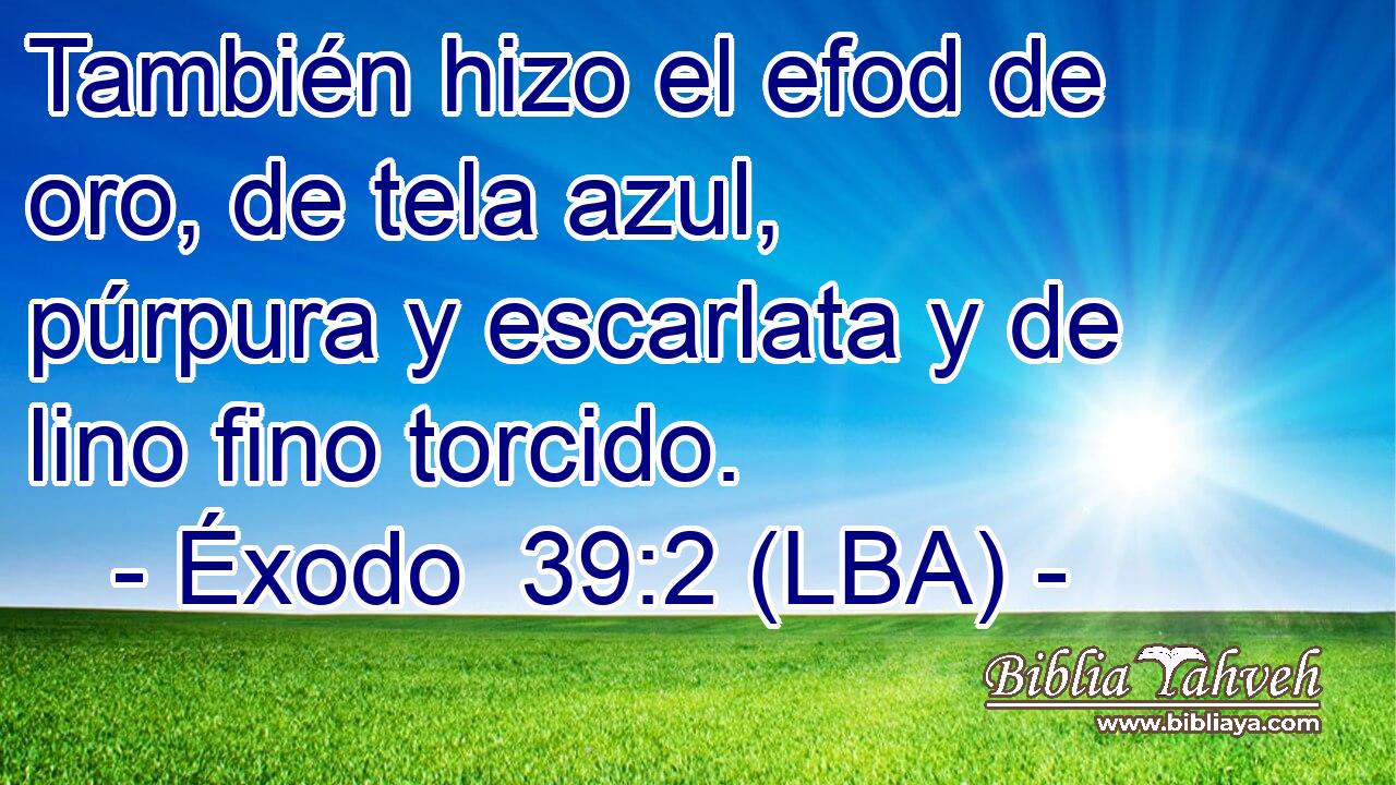 También hizo el efod de oro, de tela azul, púrpura y escarlata y de lino fino torcido.