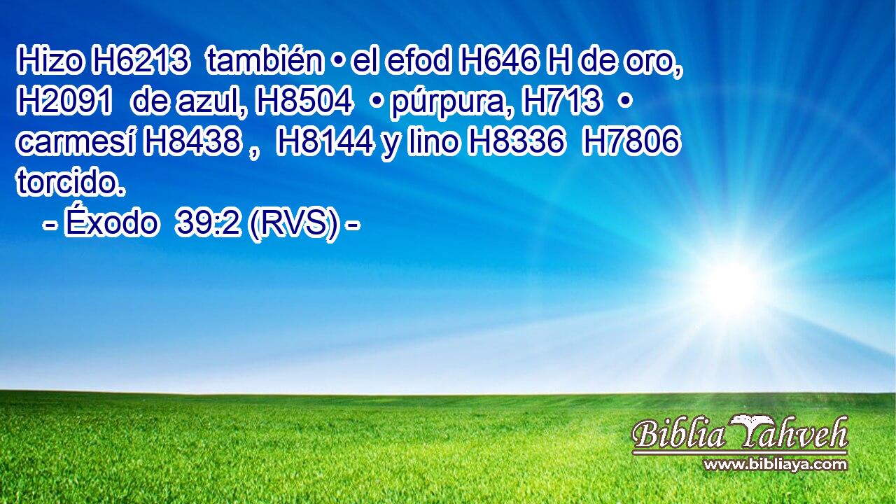 Hizo H6213  también • el efod H646 H de oro, H2091  de azul, H8504  • púrpura, H713  • carmesí H8438 ,  H8144 y lino H8336  H7806 torcido. 