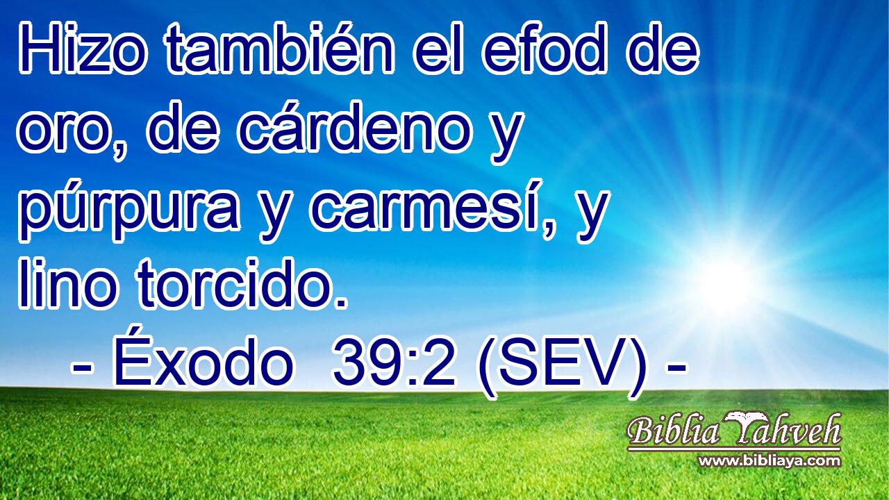 Hizo también el efod de oro, de cárdeno y púrpura y carmesí, y lino torcido.