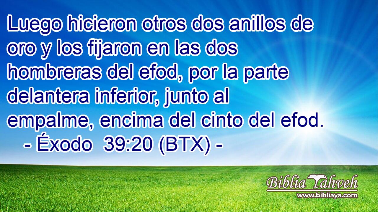 Luego hicieron otros dos anillos de oro y los fijaron en las dos hombreras del efod, por la parte delantera inferior, junto al empalme, encima del cinto del efod.