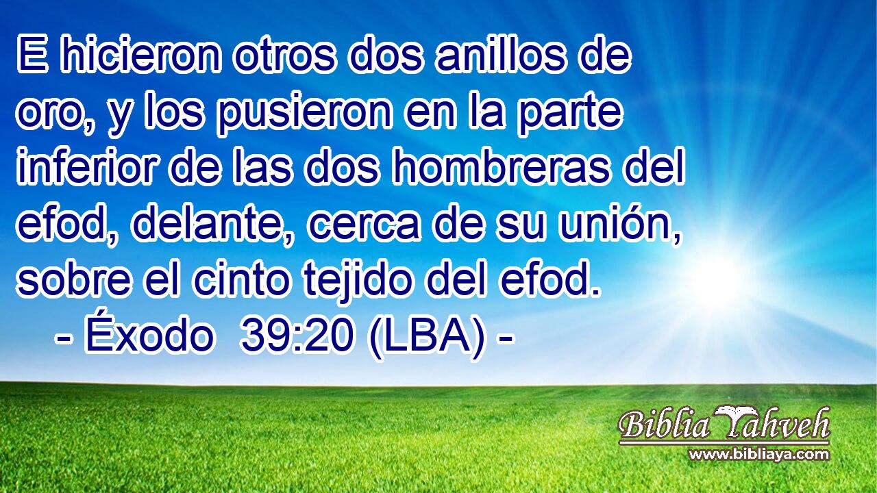 E hicieron otros dos anillos de oro, y los pusieron en la parte inferior de las dos hombreras del efod, delante, cerca de su unión, sobre el cinto tejido del efod.
