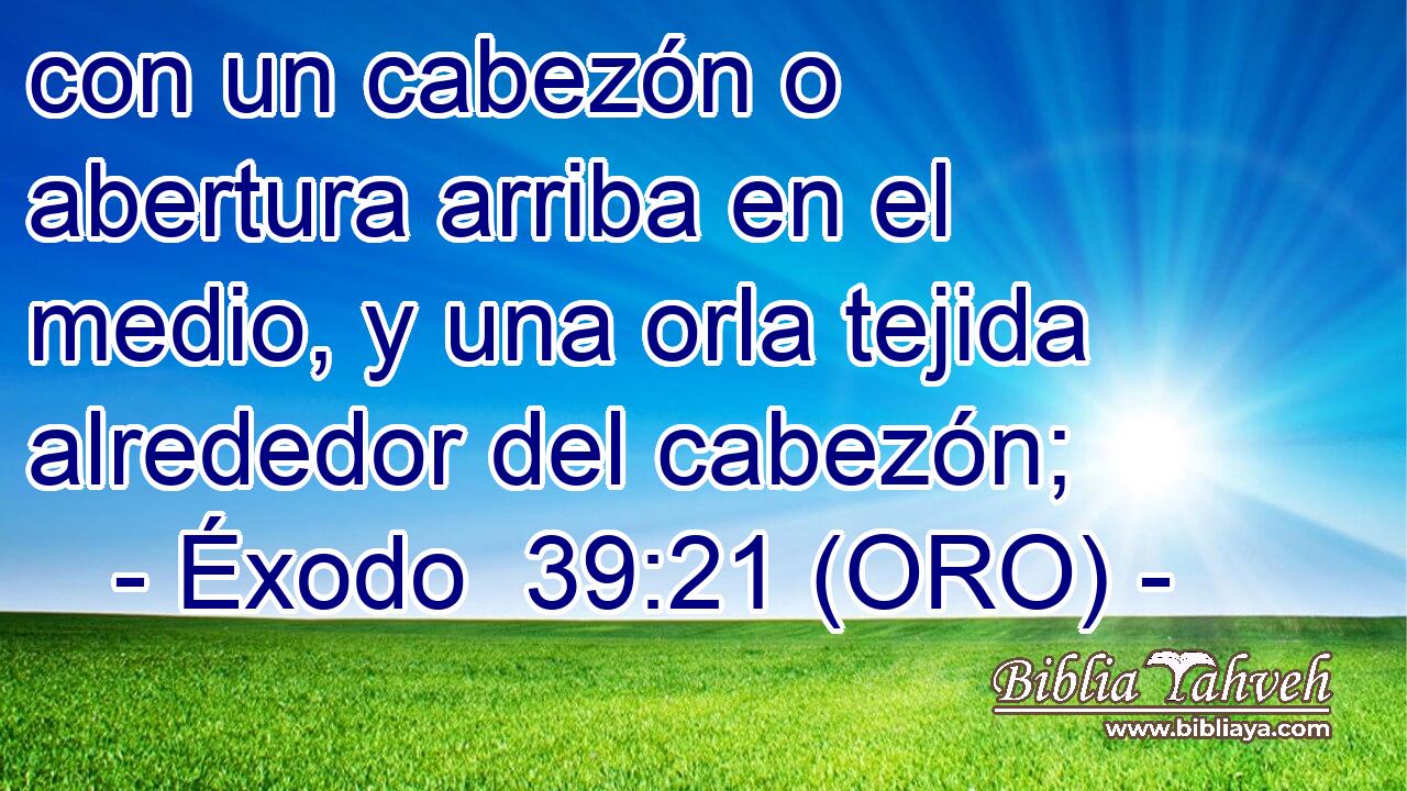  con un cabezón o abertura arriba en el medio, y una orla tejida alrededor del cabezón; 