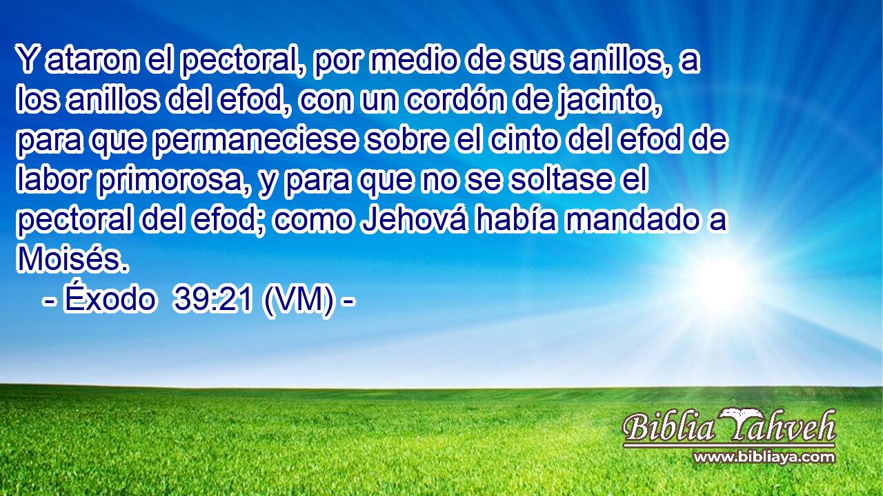  Y ataron el pectoral, por medio de sus anillos, a los anillos del efod, con un cordón de jacinto, para que permaneciese sobre el cinto del efod de labor primorosa, y para que no se soltase el pectoral del efod; como Jehová había mandado a Moisés. 
