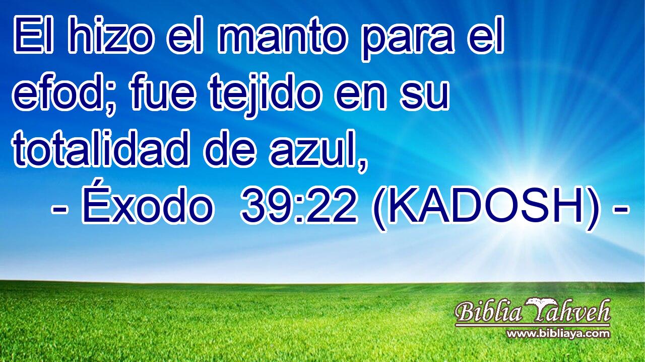  El hizo el manto para el efod; fue tejido en su totalidad de azul, 