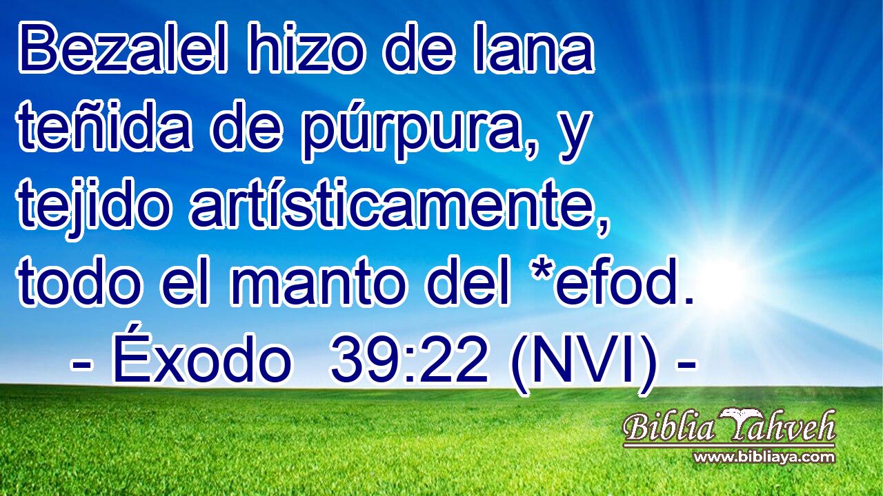  Bezalel hizo de lana teñida de púrpura, y tejido artísticamente, todo el manto del *efod. 