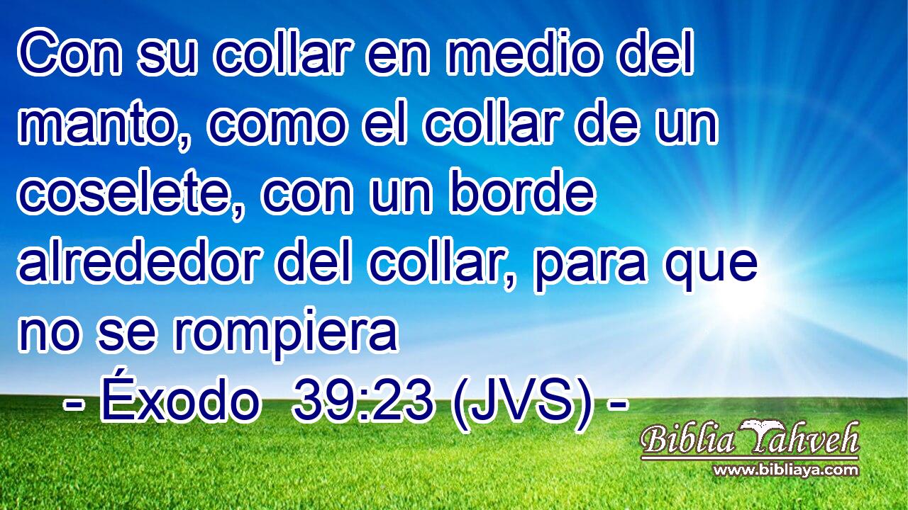 Con su collar en medio del manto, como el collar de un coselete, con un borde alrededor del collar, para que no se rompiera