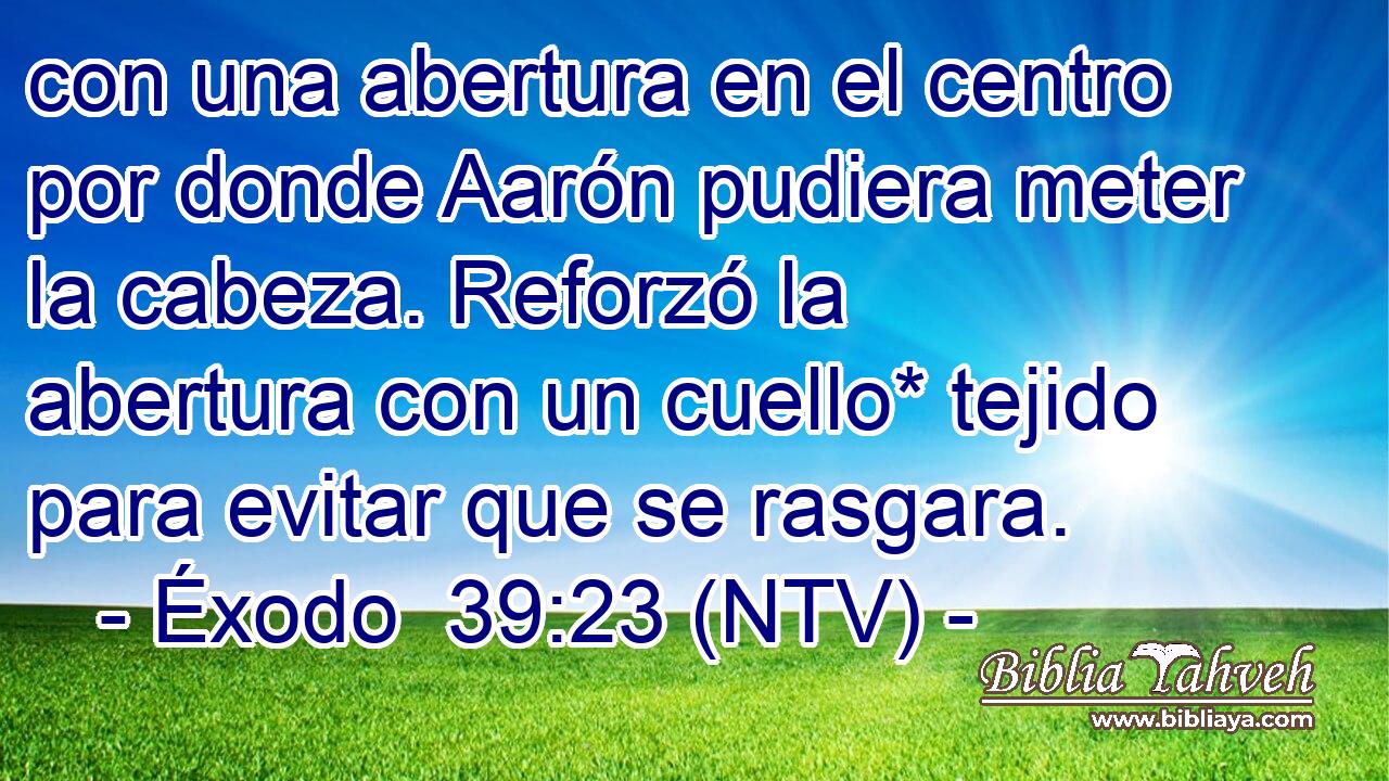 con una abertura en el centro por donde Aarón pudiera meter la cabeza. Reforzó la abertura con un cuello* tejido para evitar que se rasgara.