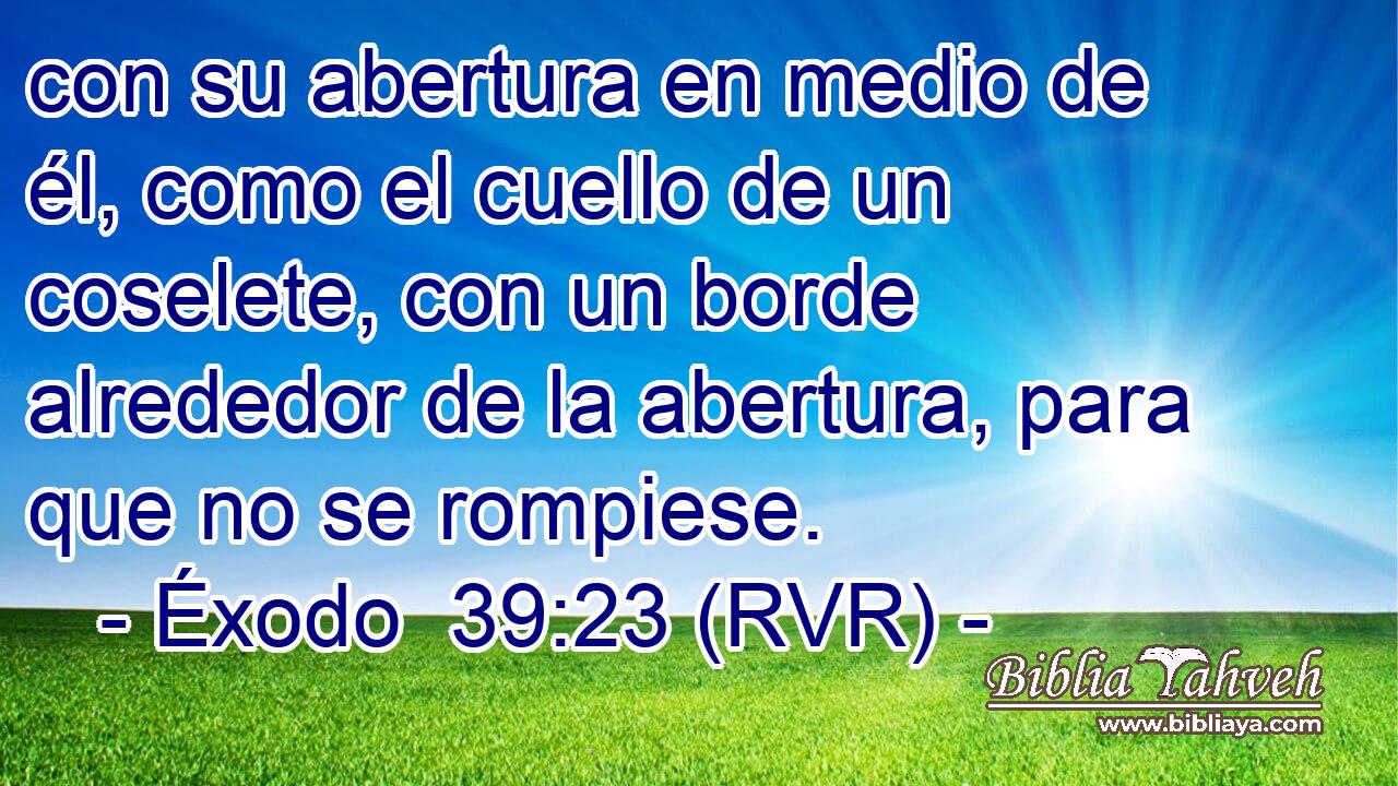 con su abertura en medio de él, como el cuello de un coselete, con un borde alrededor de la abertura, para que no se rompiese.
