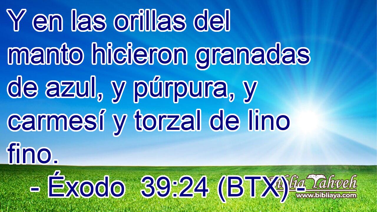 Y en las orillas del manto hicieron granadas de azul, y púrpura, y carmesí y torzal de lino fino.