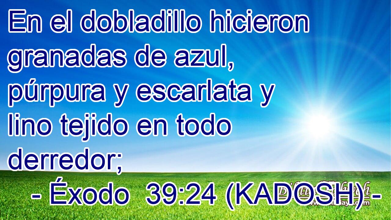  En el dobladillo hicieron granadas de azul, púrpura y escarlata y lino tejido en todo derredor; 