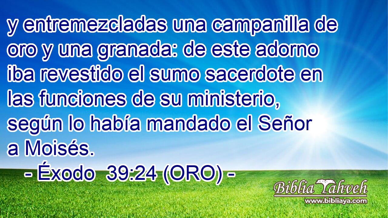  y entremezcladas una campanilla de oro y una granada: de este adorno iba revestido el sumo sacerdote en las funciones de su ministerio, según lo había mandado el Señor a Moisés. 