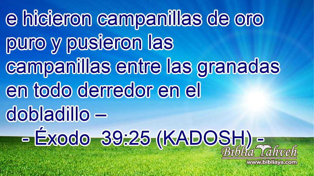  e hicieron campanillas de oro puro y pusieron las campanillas entre las granadas en todo derredor en el dobladillo – 