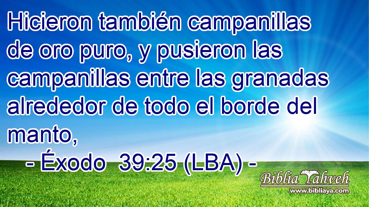 Hicieron también campanillas de oro puro, y pusieron las campanillas entre las granadas alrededor de todo el borde del manto,