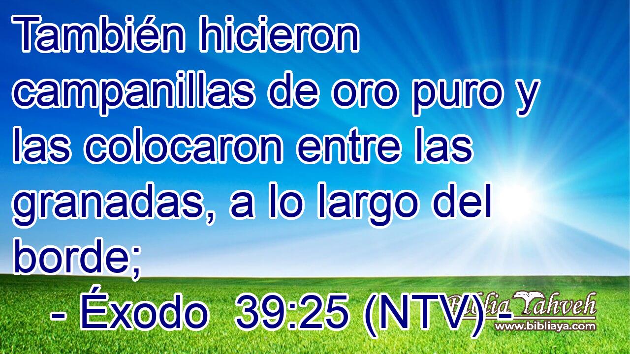 También hicieron campanillas de oro puro y las colocaron entre las granadas, a lo largo del borde;