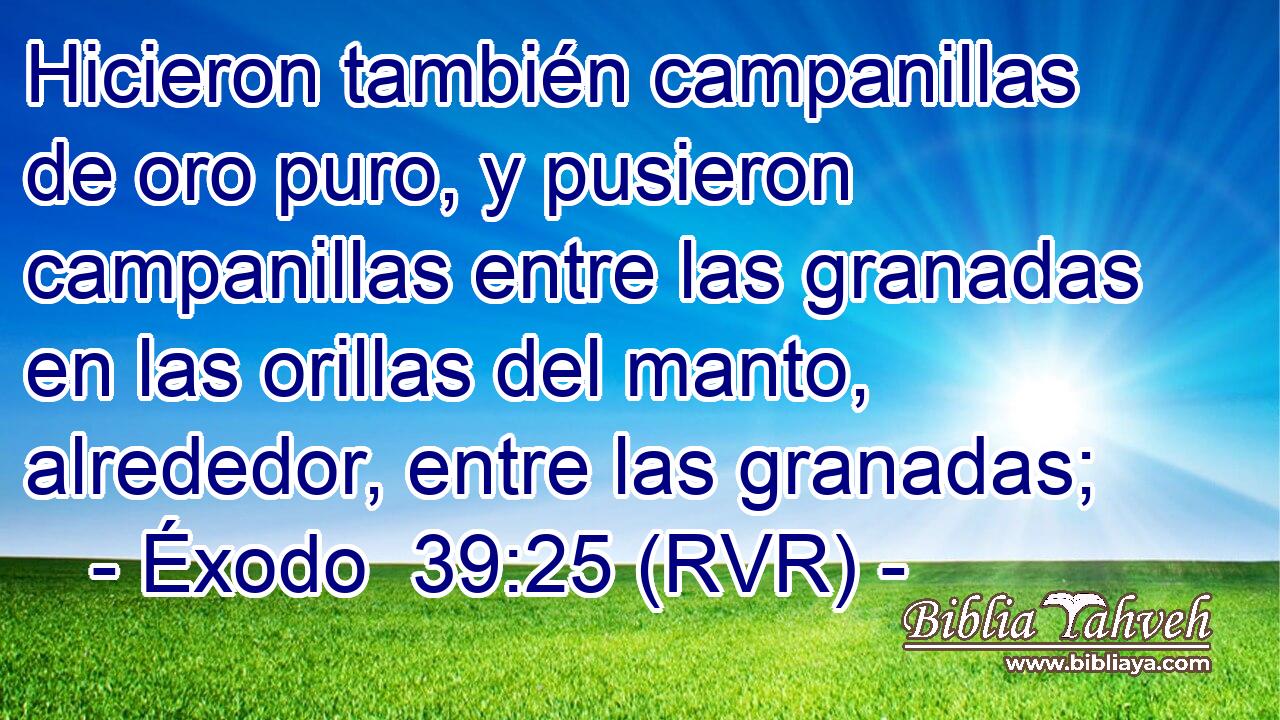 Hicieron también campanillas de oro puro, y pusieron campanillas entre las granadas en las orillas del manto, alrededor, entre las granadas;