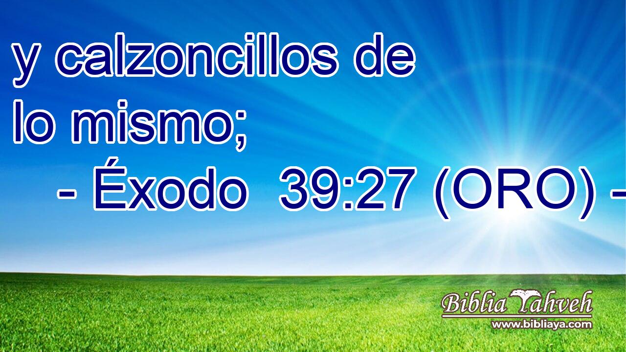  y calzoncillos de lo mismo; 