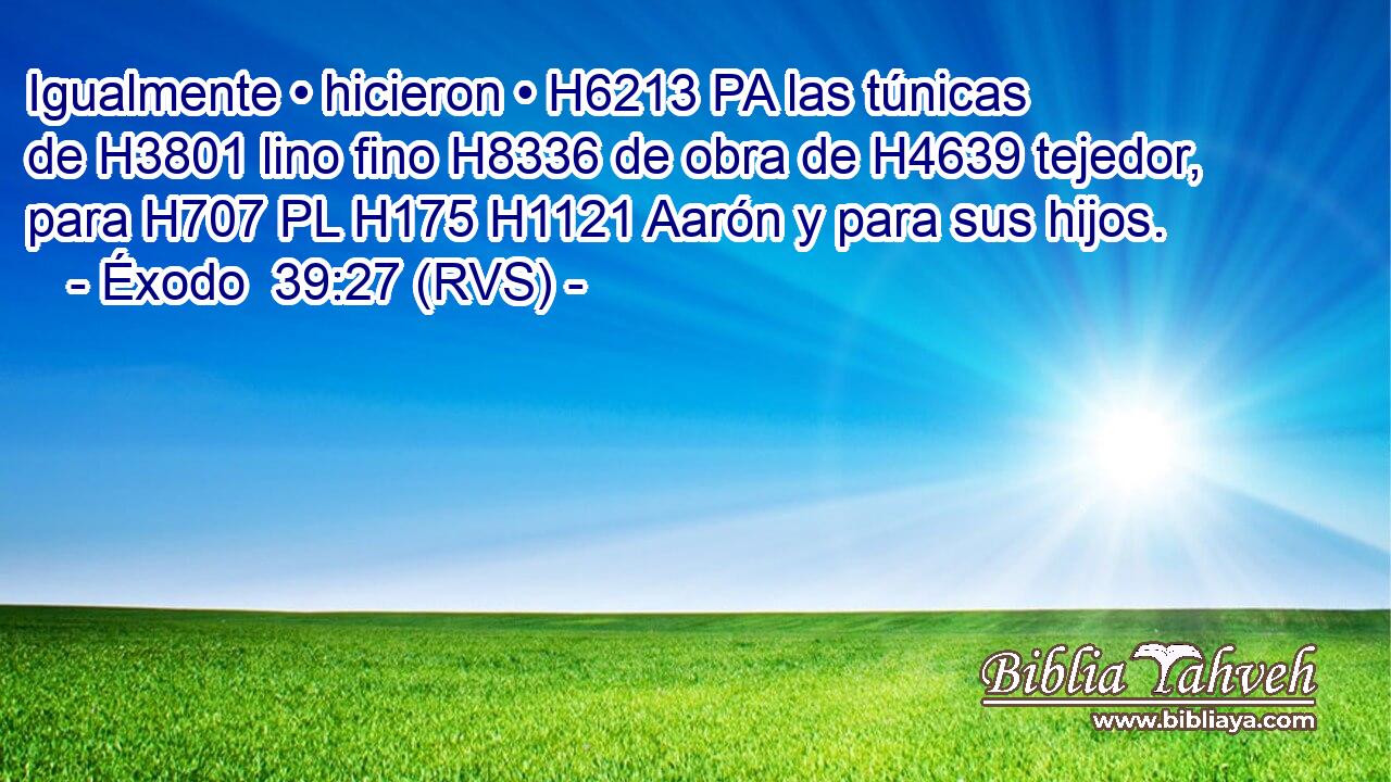 Igualmente • hicieron • H6213 PA las túnicas de H3801 lino fino H8336 de obra de H4639 tejedor, para H707 PL H175 H1121 Aarón y para sus hijos. 