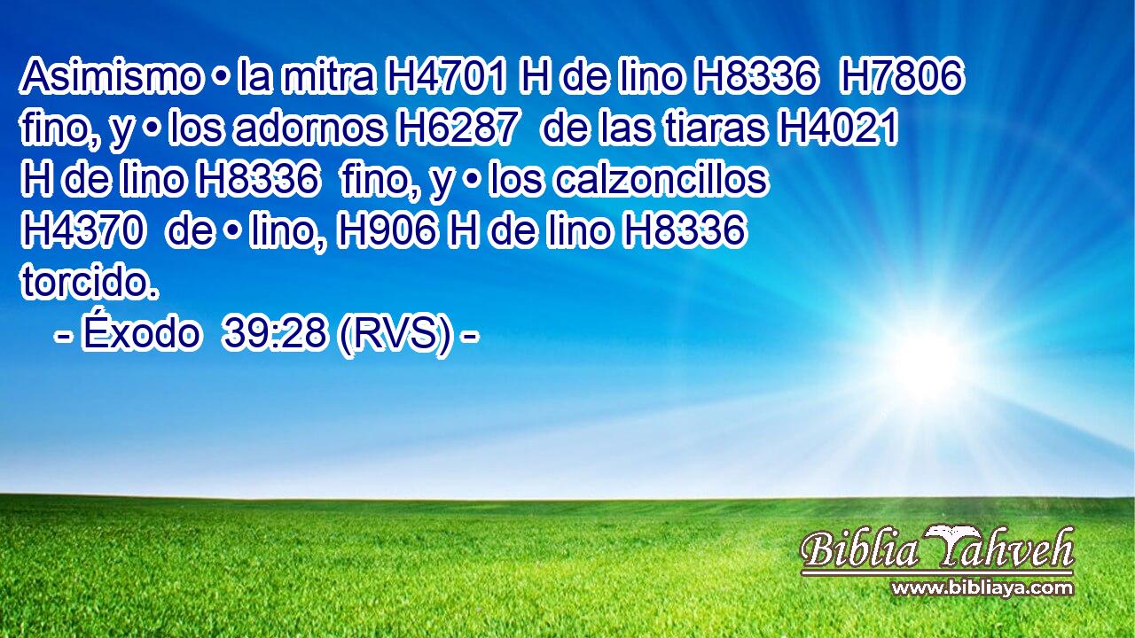 Asimismo • la mitra H4701 H de lino H8336  H7806 fino, y • los adornos H6287  de las tiaras H4021 H de lino H8336  fino, y • los calzoncillos H4370  de • lino, H906 H de lino H8336  torcido. 