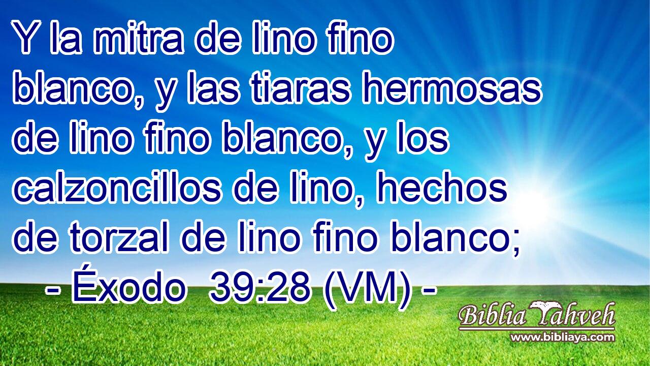  Y la mitra de lino fino blanco, y las tiaras hermosas de lino fino blanco, y los calzoncillos de lino, hechos de torzal de lino fino blanco; 