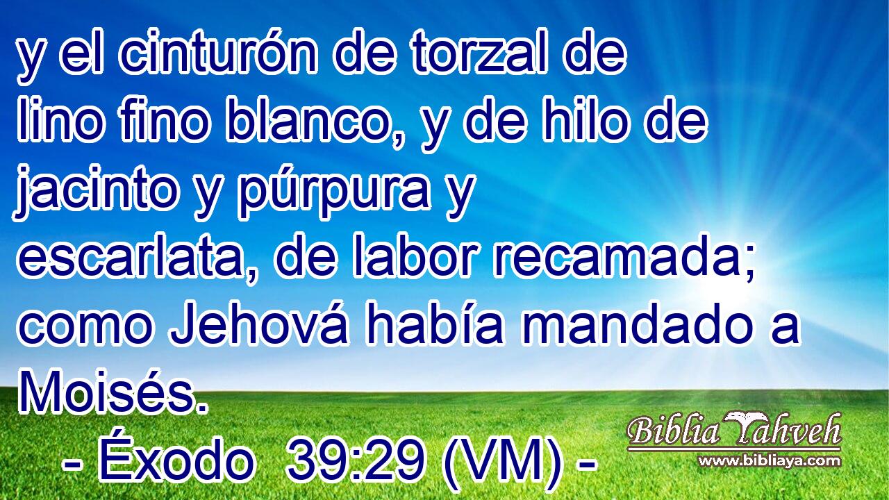  y el cinturón de torzal de lino fino blanco, y de hilo de jacinto y púrpura y escarlata, de labor recamada; como Jehová había mandado a Moisés. 