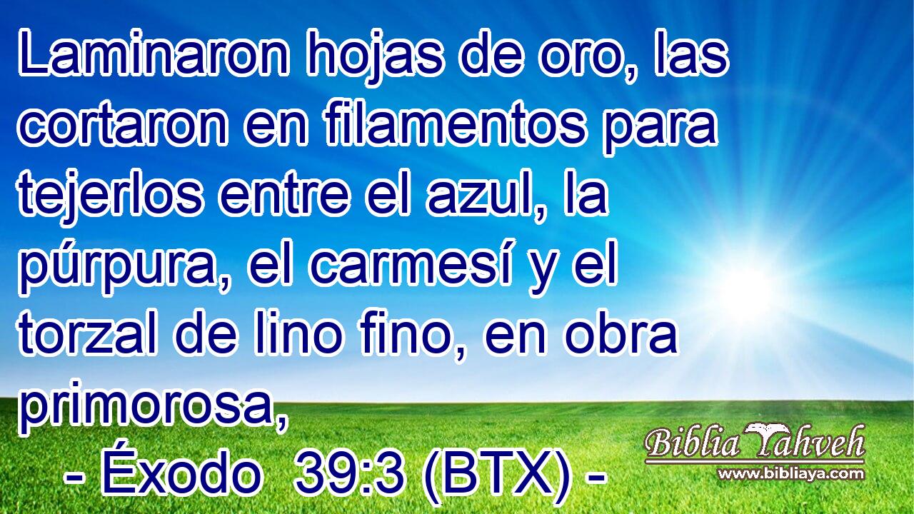 Laminaron hojas de oro, las cortaron en filamentos para tejerlos entre el azul, la púrpura, el carmesí y el torzal de lino fino, en obra primorosa,