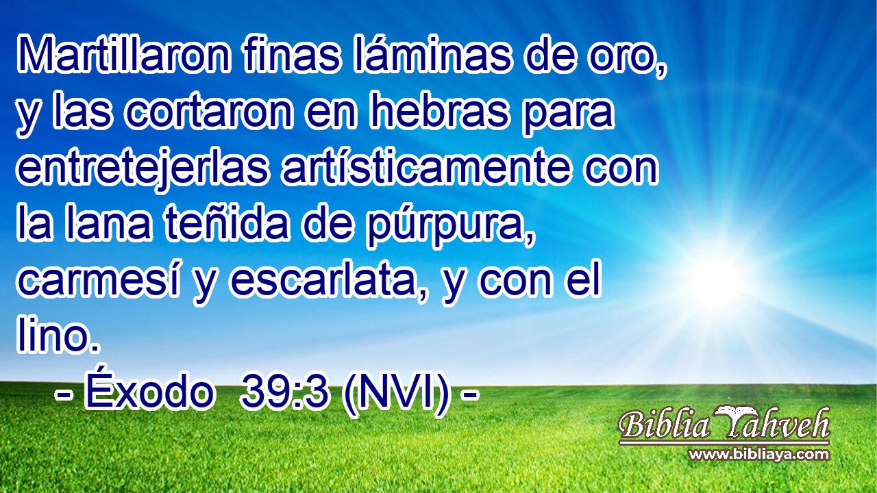  Martillaron finas láminas de oro, y las cortaron en hebras para entretejerlas artísticamente con la lana teñida de púrpura, carmesí y escarlata, y con el lino. 