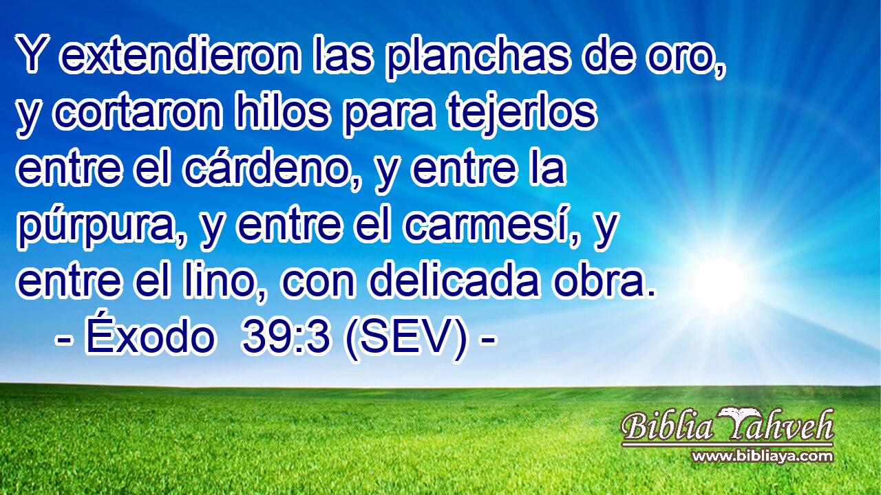 Y extendieron las planchas de oro, y cortaron hilos para tejerlos entre el cárdeno, y entre la púrpura, y entre el carmesí, y entre el lino, con delicada obra.