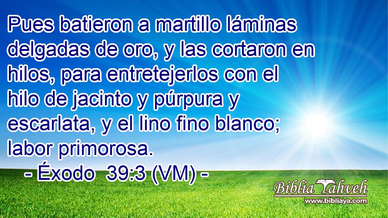  Pues batieron a martillo láminas delgadas de oro, y las cortaron en hilos, para entretejerlos con el hilo de jacinto y púrpura y escarlata, y el lino fino blanco; labor primorosa. 