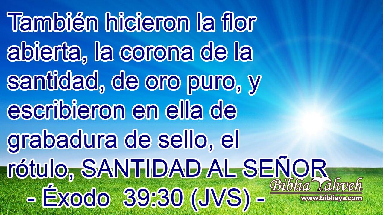 También hicieron la flor abierta, la corona de la santidad, de oro puro, y escribieron en ella de grabadura de sello, el rótulo, SANTIDAD AL SEÑOR