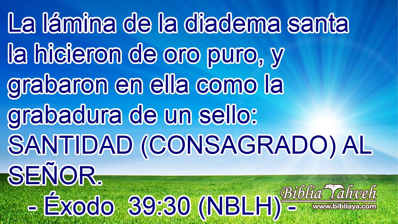  La lámina de la diadema santa la hicieron de oro puro, y grabaron en ella como la grabadura de un sello: SANTIDAD (CONSAGRADO) AL SEÑOR. 