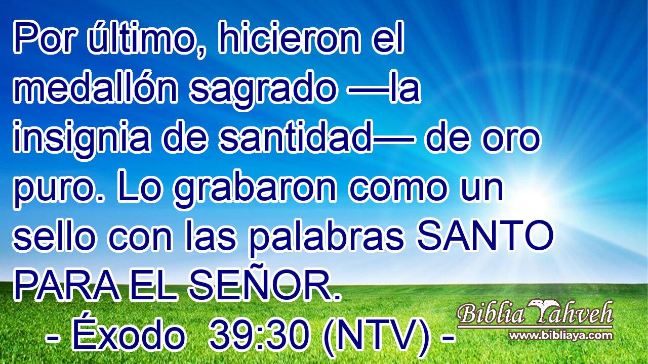 Por último, hicieron el medallón sagrado —la insignia de santidad— de oro puro. Lo grabaron como un sello con las palabras SANTO PARA EL SEÑOR.