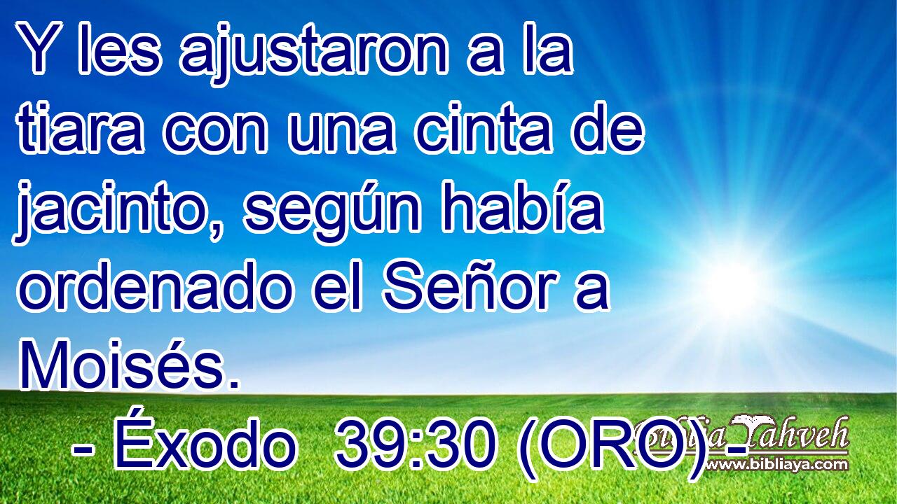  Y les ajustaron a la tiara con una cinta de jacinto, según había ordenado el Señor a Moisés. 
