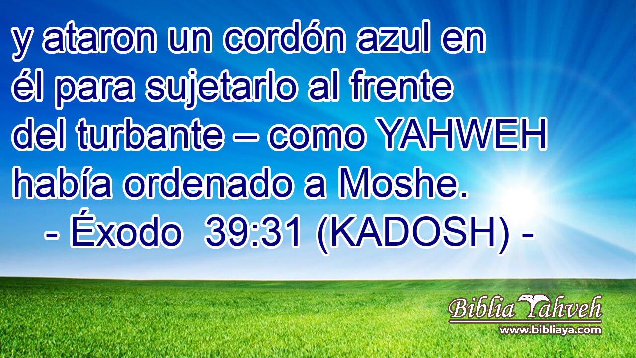  y ataron un cordón azul en él para sujetarlo al frente del turbante – como YAHWEH había ordenado a Moshe. 