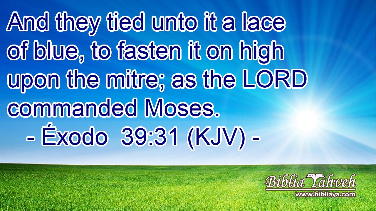 And they tied unto it a lace of blue, to fasten it on high upon the mitre; as the LORD commanded Moses.