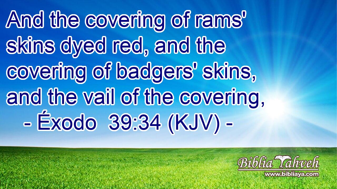 And the covering of rams' skins dyed red, and the covering of badgers' skins, and the vail of the covering,